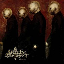 Irate Architect : Visitors